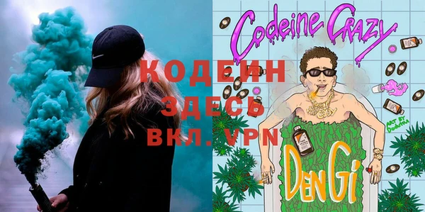 дурь Вяземский