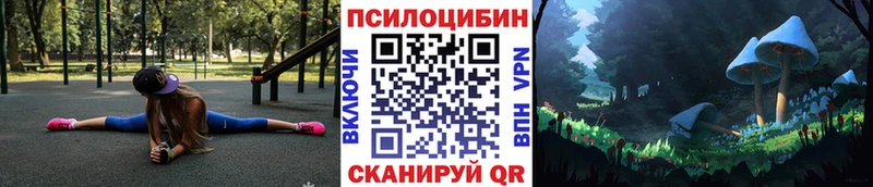 закладки  ОМГ ОМГ tor  Галлюциногенные грибы прущие грибы  shop как зайти  Москва 